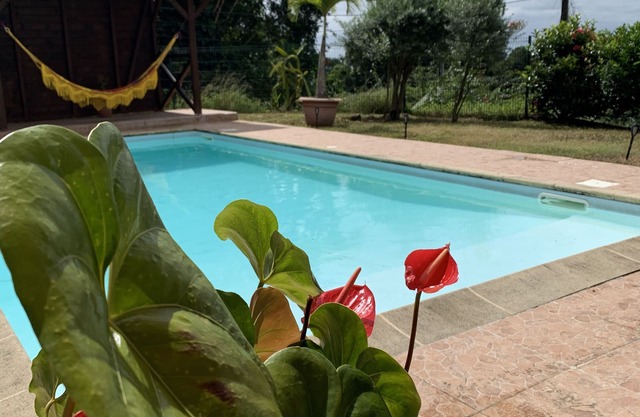 Welcome to casa fall, a large family villa in the rainforest. Enjoyyyyy!