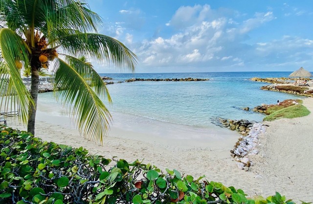 Welcome to our Curacao Condo with Patio & Steps to the Pool Deck & Private Beach