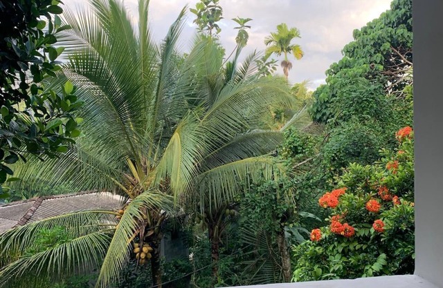 Welcome to shalom breaze