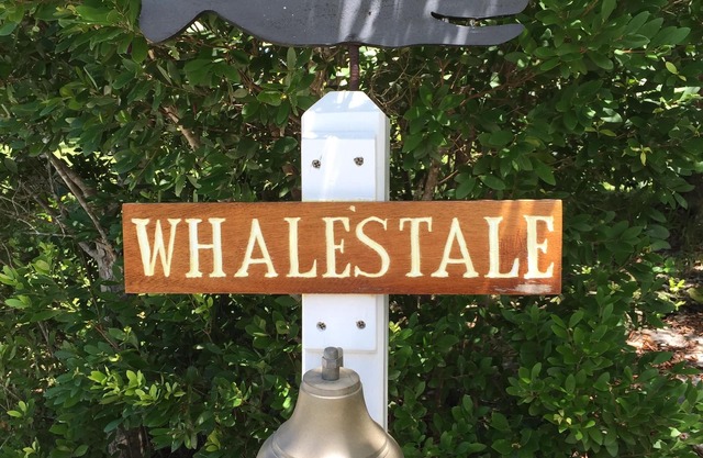 Whale's Tale Cottage- Tropical Island Charm on Man O War Cay With Beach Access