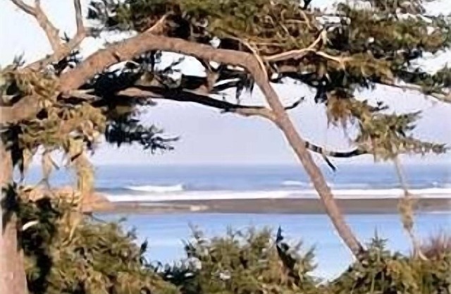 Whales Tale Cabin Fabulous Ocean and River Views