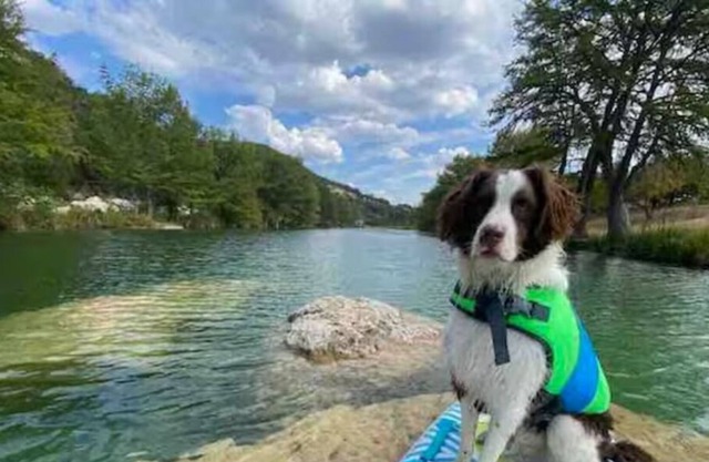 White Bluff on the Medina **River Front
