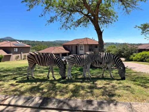 Wild Antelope on your doorstep!