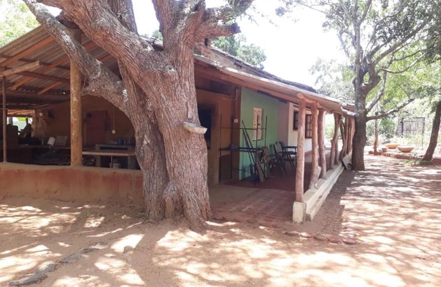 Wild corridor resort bundala