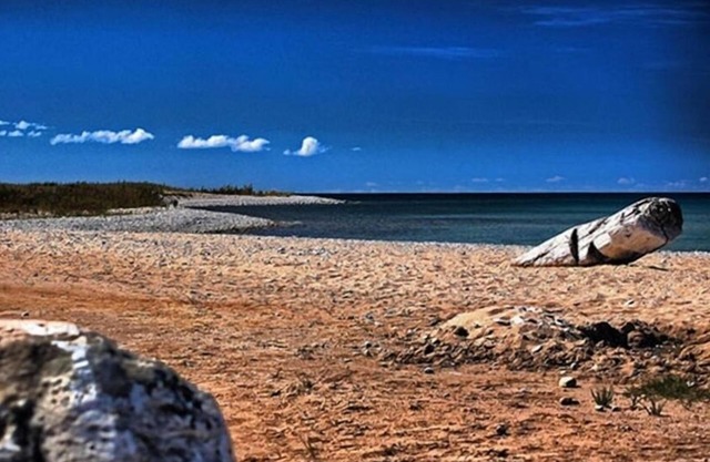 Wilderness Setting Near Beautiful Lake Michigan