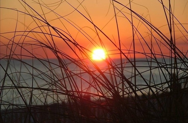 Winter Mthly Rates Avail., FREE BEACH SETUP Mar-Oct,1st FLR, ON CANAL/HARBOR