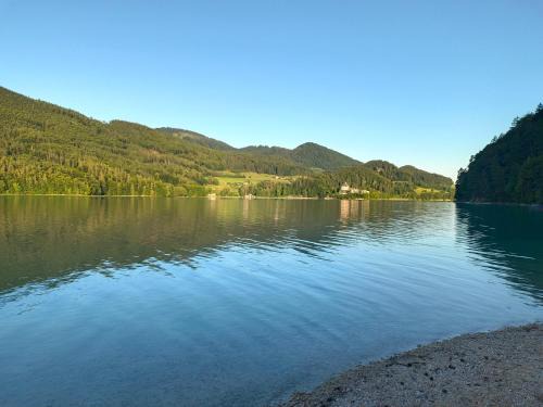 Wohlfühl-Ferienwohnung "Igelnest"