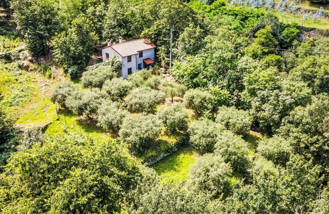 Wonderful private villa for 6 people with WIFI, TV, patio, pets allowed and parking