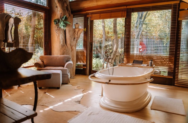 Wonderland Cape Town