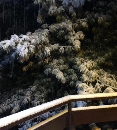 Wood and Fire Chalet