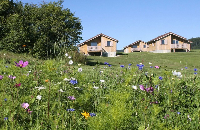Wooden chalet rental 1 to 6 people