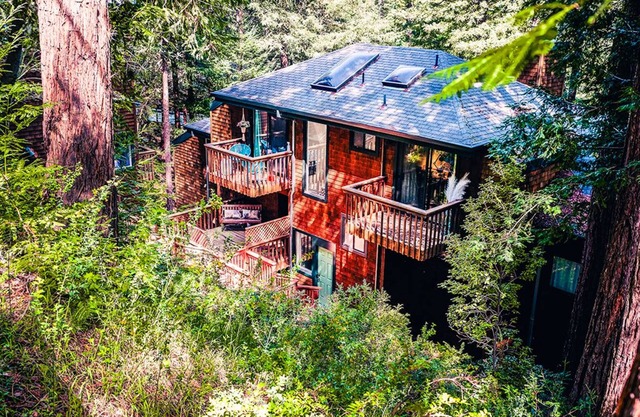 Woodland retreat surrounded by redwoods. Just minutes to downtown Mill Valley!