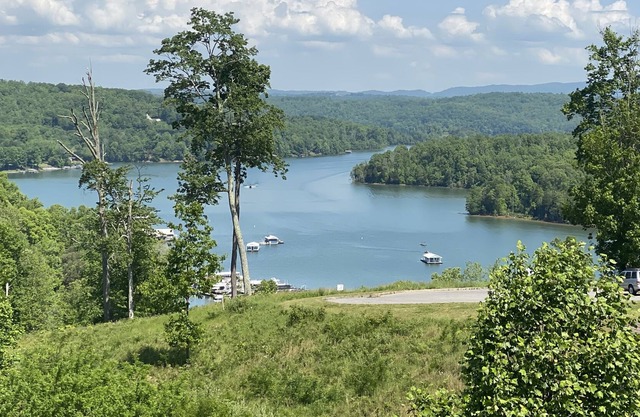 Wow-Norris Lake & Mountain Views, 4 Suites, Stardust Marina
