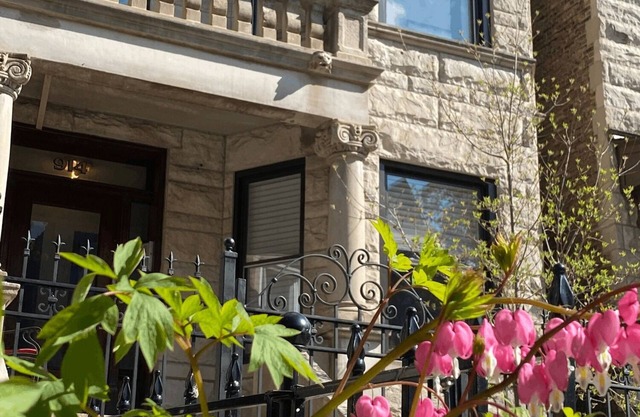 Wrigleyville Inn - Garden Unit
