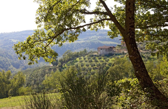WWW.VILLAMARI.IT: HILLTOP VILLA PRIVATE POOL AMAZING LOCATION