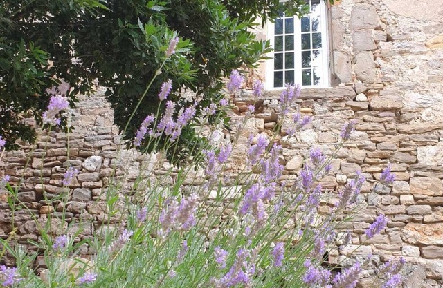 XIth century castle