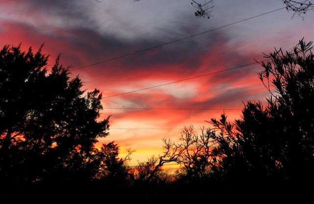 Yellow House Bed and Breakfast