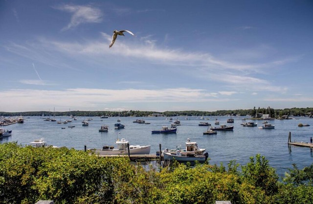 You and Your Dog Will Love This Boothbay Harbor Cottage
