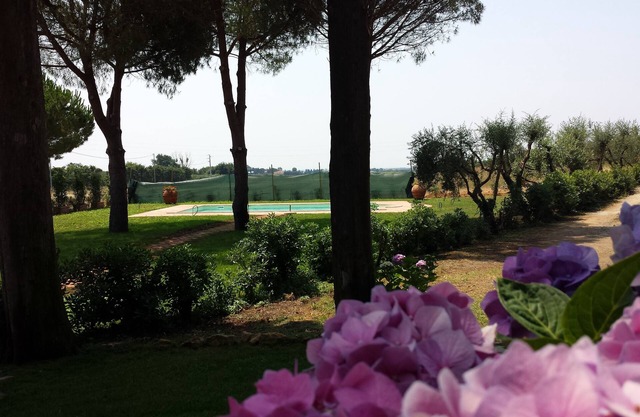 Your dream in Tuscany-truly relaxing in Tuscany perfect for families and friends