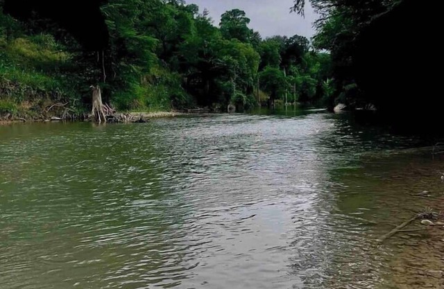 Your Own Piece of The Guadalupe! Long Stay Discoun