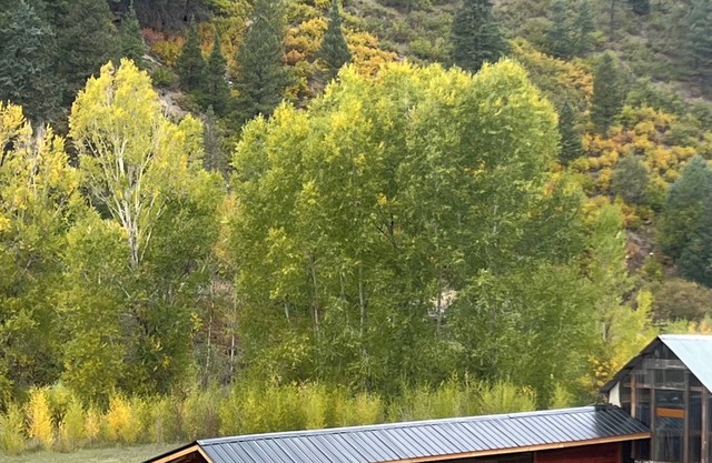 Yun-Shui Garden nWhere Clouds Drift, Water Flows