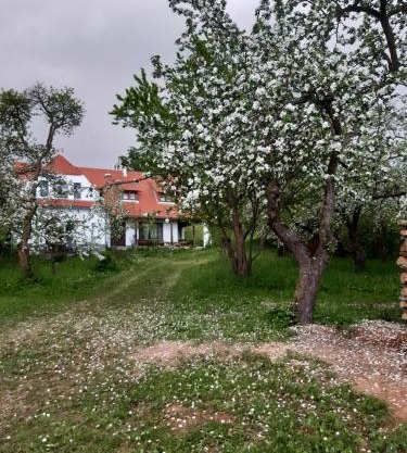 Zöld Diófa Panzió