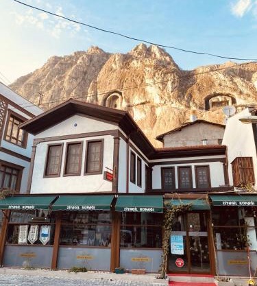 Ziyagil Konağı