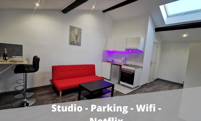 Chasse-sur-Rhone Apartment | Ô bon temps- Suite bien être