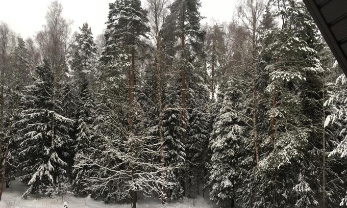 Yam House | Загородный дом - House Banner