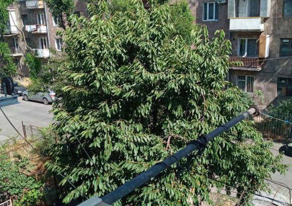 Arabkir Apartment | Квартира для семьи