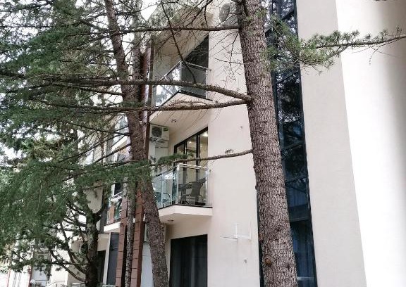 Golubye Dali Apartment | Мадрид Парк 2 - "Видный" Апартаменты Сочи Адлер Курортный городок