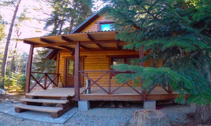 Arkhyz Apartment | Мишкин Дом