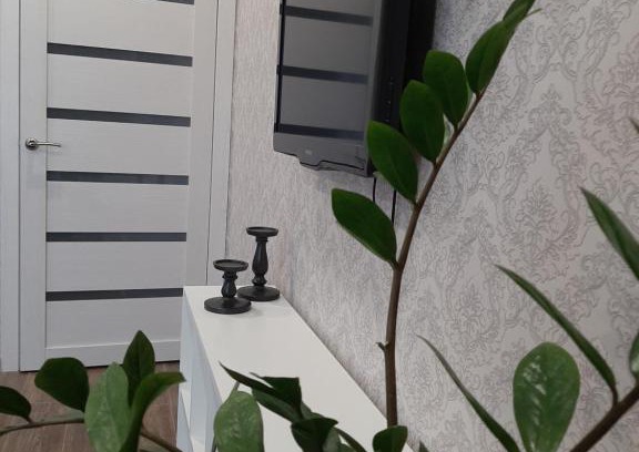 Sovetsky City District Apartment | улица Николая Ершова, 62в Апартаменты