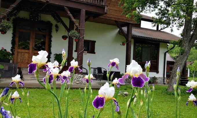 Dahovskoe House | Хамышинские Дачи