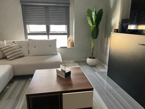 Al-Basatin Apartment | برج الحجاز جاردنز زهراء المعادى