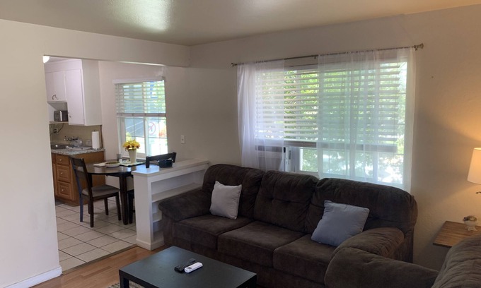 San Jose Apartment | 1 Bed 1 Bath downtown San Jose