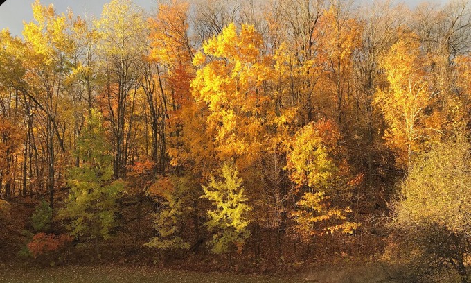 Boyne Falls Resort | 💕🌼🌸 1 bedroom 1 bath suite at Boyne Mountain 2 nights.