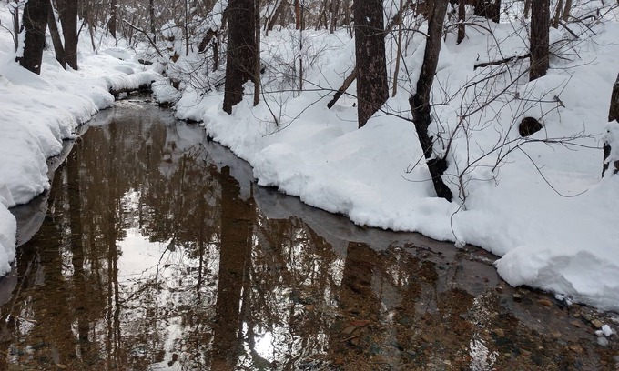 Groom Creek Cabin | 10 min from downtown Prescott. touch point cleaning provided these times