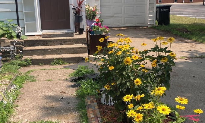Little Falls House | 1888 LFalls Gem in Great Location. 3BR, 1BA Modern Comfort Vibes, WiFi, Big Yard