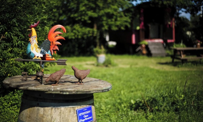 Bourg-sur-Gironde House | 1946 "Pacouli" caravan in a wooded meadow
