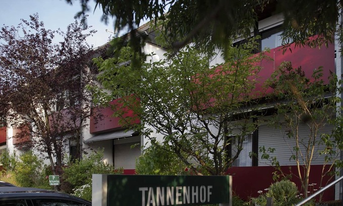 Bad Bergzabern Apartment | 2-bed apartment 41m² - Haus Tannenhof