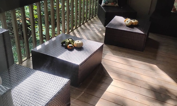 North Chesterfield Apartment | 2-bedroom apartment in charming Bon Air, with WiFi, AC, Pool. Pet Friendly.