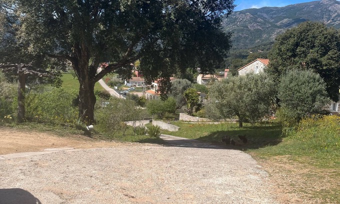 Peri Villa | 2 Bedroom Villa in Peri