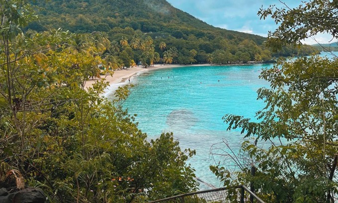 Riviere-Pilote Villa | 2 villas with pool on Anse Figuier beach