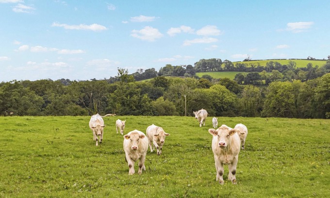 Carmarthen Cottage | 3 bedroom accommodation in Meidrim, near Carmarthen