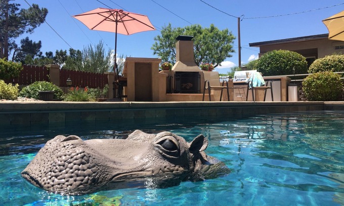 Northeast Heights House | 3 BR 2 BA Guest House with heated pool, hot tub, outdoor kitchen & putting range