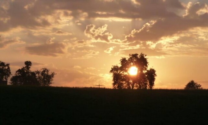 Rothenburg Other | 3 CHILDREN UNDER 16 YEARS ARE ACCOMPANIED BY AT LEAST 2 ADULTS FREE!