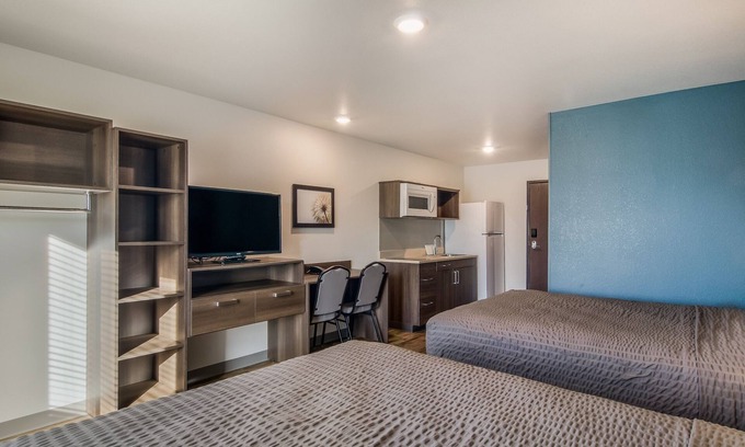 Greenville - Spartanburg Hotel | 3 Pet-Friendly Suites Ideal for Long Visits Near Greenville’s Key Attractions