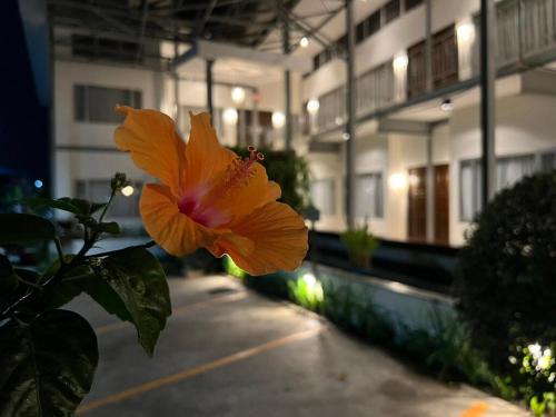 Chiang Mai Hotel | 3B Boutique Hotel & Restaurant
