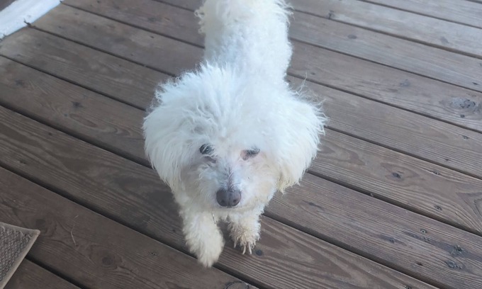 Philipsburg House | 4-bedroom house in wonderful Philipsburg with WiFi, AC